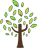小樹分割線