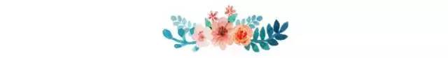 鮮花朵朵 分割線